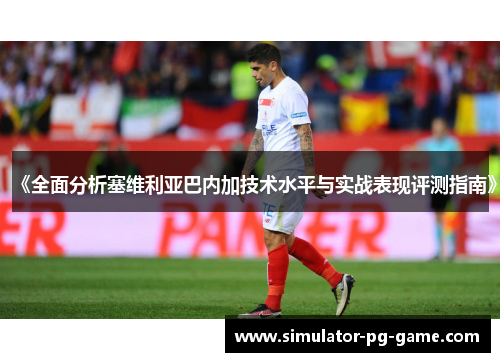 《全面分析塞维利亚巴内加技术水平与实战表现评测指南》
