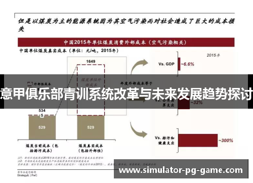 意甲俱乐部青训系统改革与未来发展趋势探讨